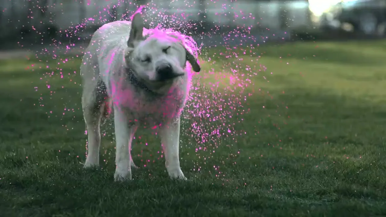 Smartphone brand film, video